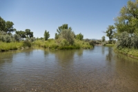 Walker River